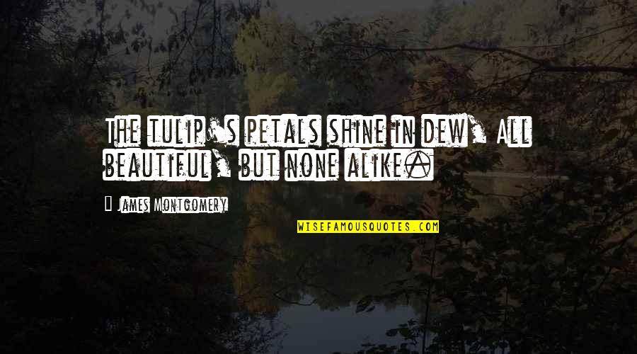 Nadjem Quotes By James Montgomery: The tulip's petals shine in dew, All beautiful,