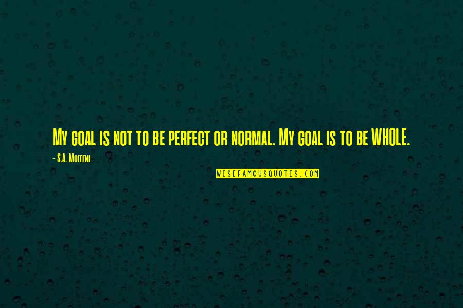 Nadler God Quote Quotes By S.A. Molteni: My goal is not to be perfect or