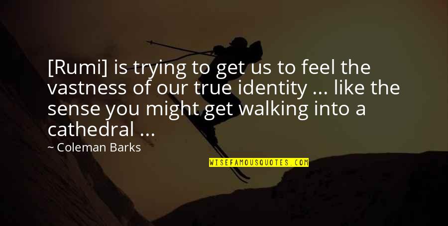 Nafeesa Sweets Quotes By Coleman Barks: [Rumi] is trying to get us to feel