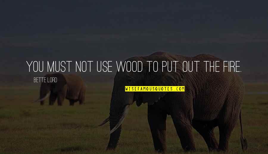Nagasawa Quotes By Bette Lord: You must not use wood to put out Nagasawa Quotes By Bette Lord: You must not use wood to put out