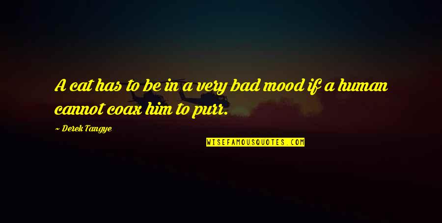 Nagatos Quote Quotes By Derek Tangye: A cat has to be in a very