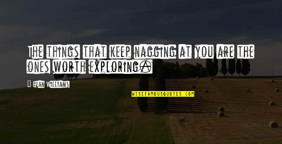 Nagging Quotes By Evan Williams: The things that keep nagging at you are