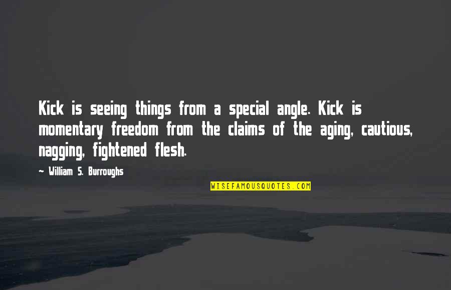 Nagging Quotes By William S. Burroughs: Kick is seeing things from a special angle.