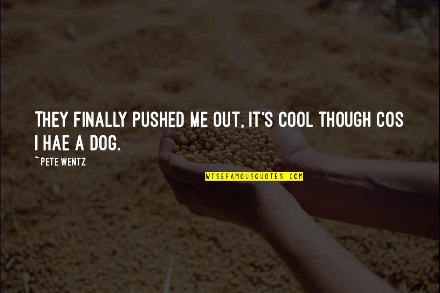 Naghahanap Nang Quotes By Pete Wentz: They finally pushed me out, It's cool though