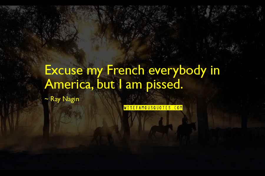 Nagin 4 Quotes By Ray Nagin: Excuse my French everybody in America, but I