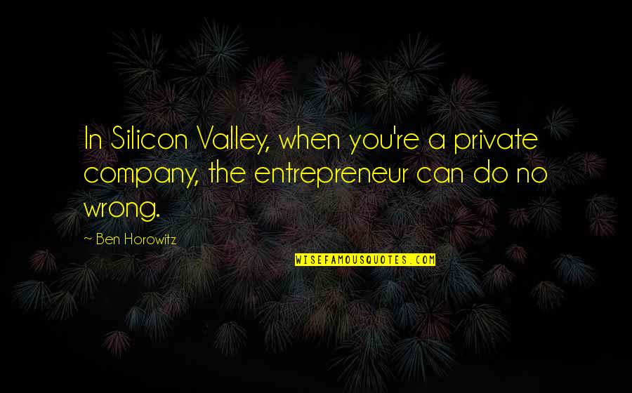 Naginey Quotes By Ben Horowitz: In Silicon Valley, when you're a private company,