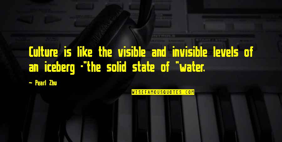 Nagy Mellek Quotes By Pearl Zhu: Culture is like the visible and invisible levels Nagy Mellek Quotes By Pearl Zhu: Culture is like the visible and invisible levels