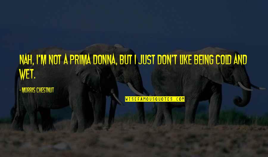 Nah Quotes By Morris Chestnut: Nah, I'm not a prima donna, but I Nah Quotes By Morris Chestnut: Nah, I'm not a prima donna, but I