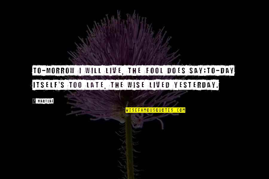 Nahrani Souboru Quotes By Martial: To-morrow I will live, the fool does say;To-day Nahrani Souboru Quotes By Martial: To-morrow I will live, the fool does say;To-day