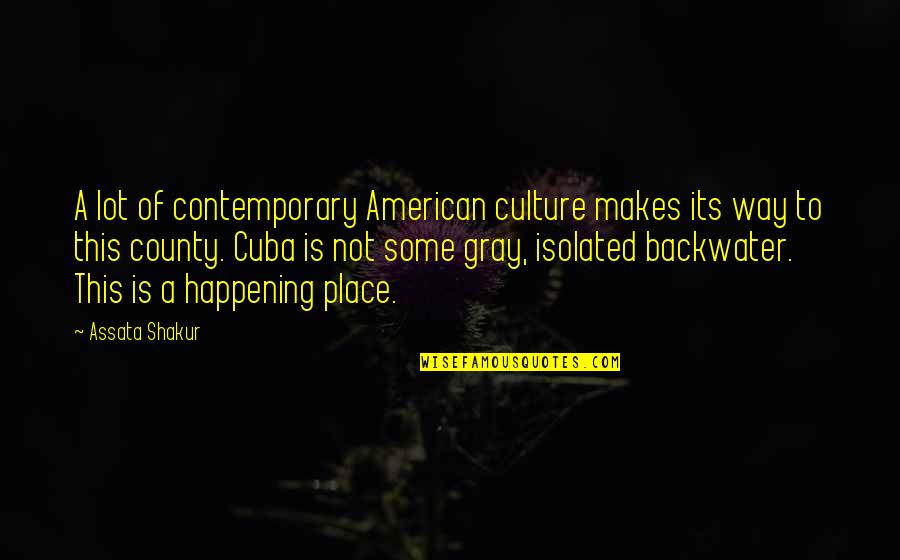 Nail Polish Funny Quotes By Assata Shakur: A lot of contemporary American culture makes its