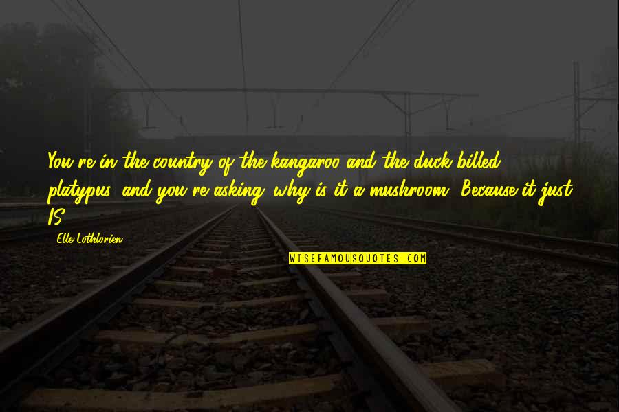 Naily Shoes Quotes By Elle Lothlorien: You're in the country of the kangaroo and Naily Shoes Quotes By Elle Lothlorien: You're in the country of the kangaroo and