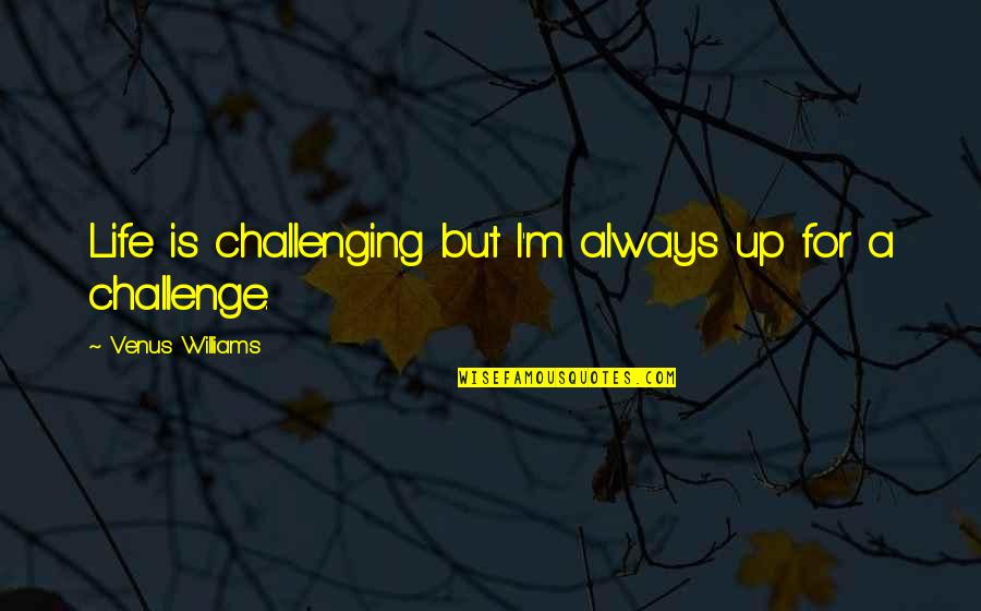Naily Shoes Quotes By Venus Williams: Life is challenging but I'm always up for Naily Shoes Quotes By Venus Williams: Life is challenging but I'm always up for