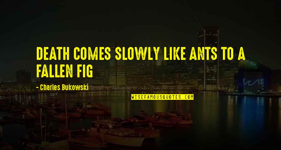 Naitoh Urologist Quotes By Charles Bukowski: DEATH COMES SLOWLY LIKE ANTS TO A FALLEN