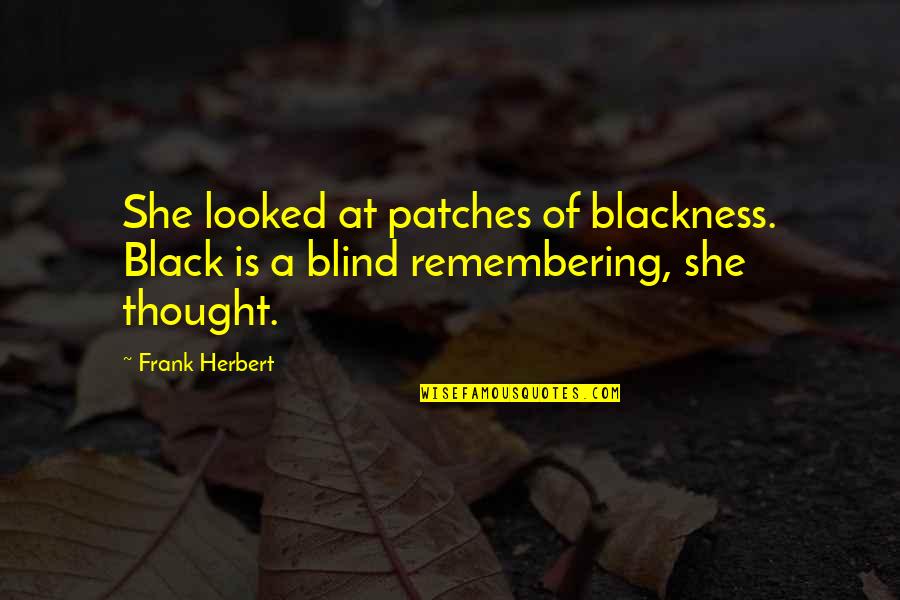 Naively Painted Quotes By Frank Herbert: She looked at patches of blackness. Black is