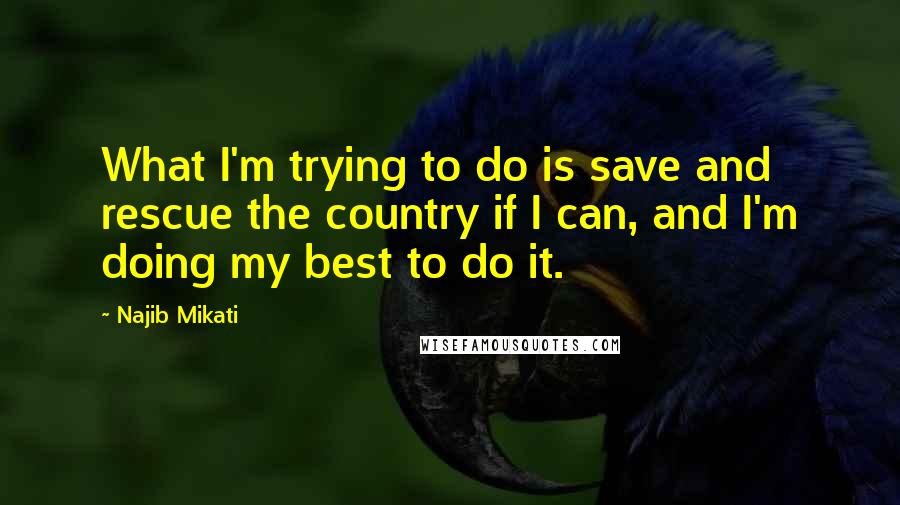 Najib Mikati quotes: What I'm trying to do is save and rescue the country if I can, and I'm doing my best to do it.