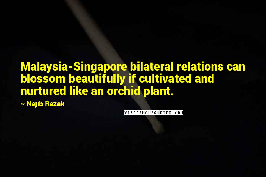 Najib Razak quotes: Malaysia-Singapore bilateral relations can blossom beautifully if cultivated and nurtured like an orchid plant.