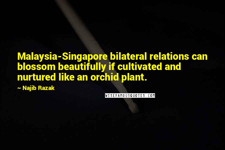 Najib Razak quotes: Malaysia-Singapore bilateral relations can blossom beautifully if cultivated and nurtured like an orchid plant. Najib Razak quotes: Malaysia-Singapore bilateral relations can blossom beautifully if cultivated and nurtured like an orchid plant.