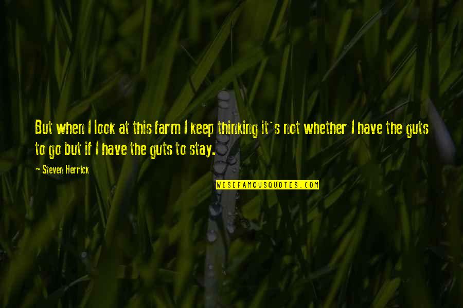 Najopasniji Put Quotes By Steven Herrick: But when I look at this farm I Najopasniji Put Quotes By Steven Herrick: But when I look at this farm I