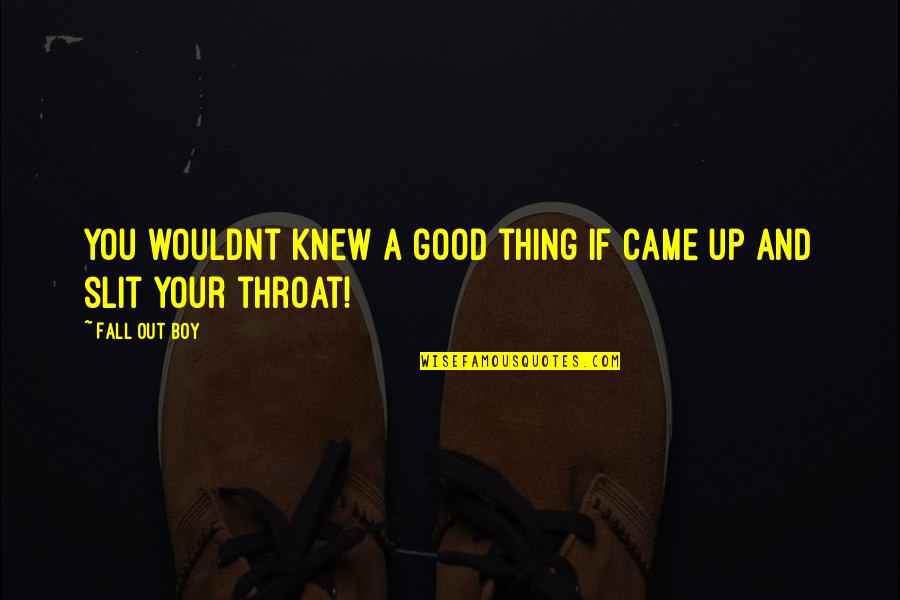 Nakakaawa Ka Quotes By Fall Out Boy: You wouldnt knew a good thing if came