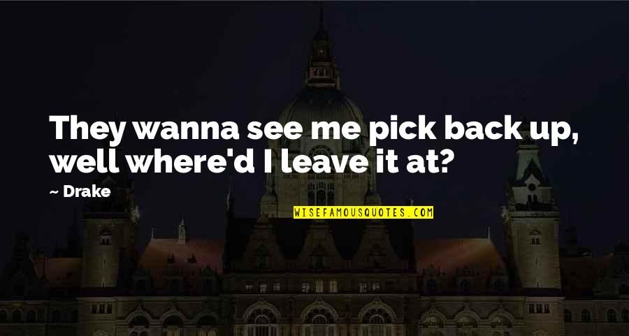 Nakatudde By M Quotes By Drake: They wanna see me pick back up, well