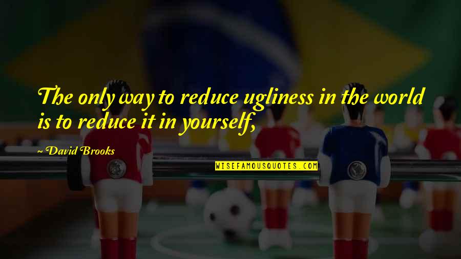 Namakula Rehema Quotes By David Brooks: The only way to reduce ugliness in the