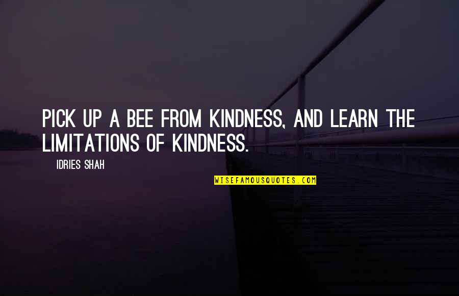 Nambu Quotes By Idries Shah: Pick up a bee from kindness, and learn
