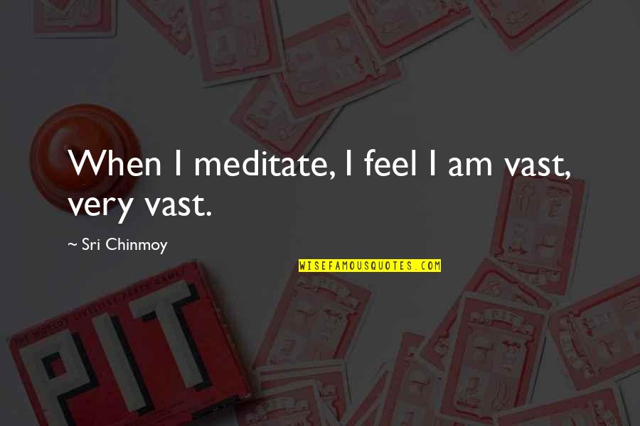 Name Brands Quotes By Sri Chinmoy: When I meditate, I feel I am vast,