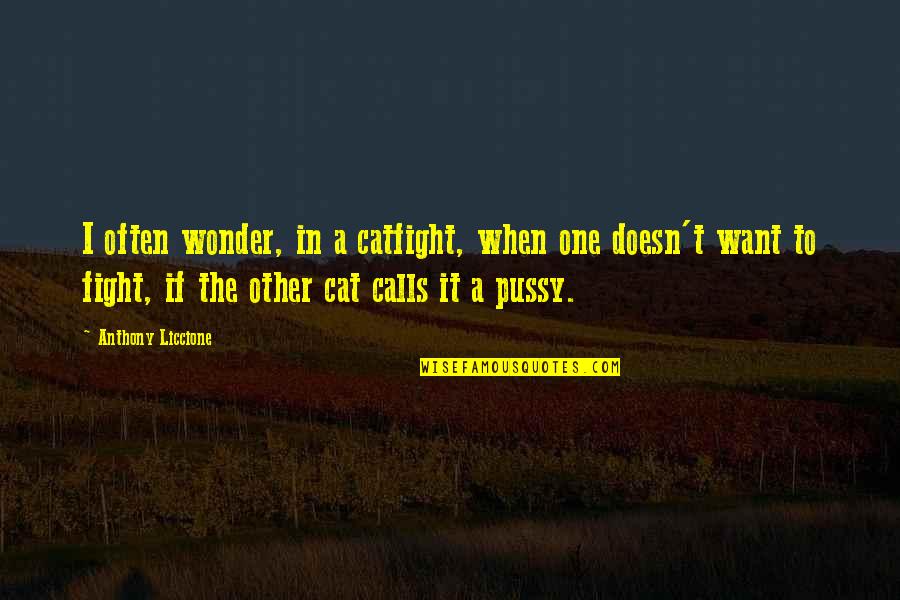 Name Calling Quotes By Anthony Liccione: I often wonder, in a catfight, when one