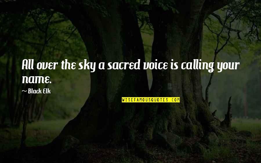 Name Calling Quotes By Black Elk: All over the sky a sacred voice is