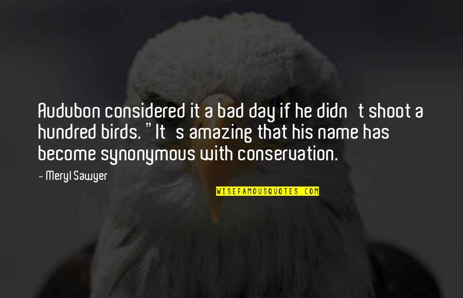 Name Day Quotes By Meryl Sawyer: Audubon considered it a bad day if he