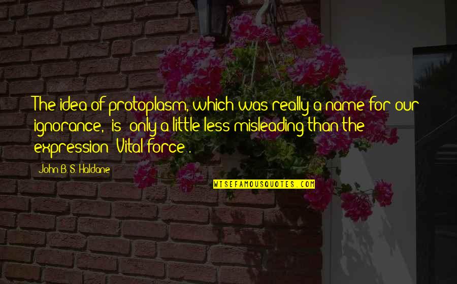 Name Our Quotes By John B. S. Haldane: The idea of protoplasm, which was really a