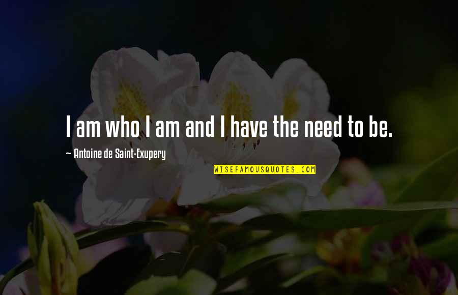 Nameeta Bidkar Quotes By Antoine De Saint-Exupery: I am who I am and I have
