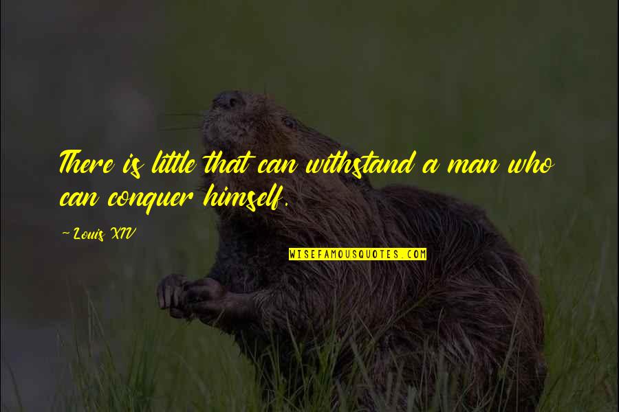 Namikoshi Electronics Quotes By Louis XIV: There is little that can withstand a man
