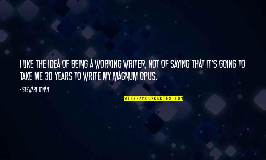 Nan Quotes By Stewart O'Nan: I like the idea of being a working