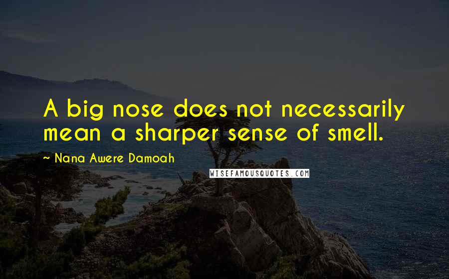 Nana Awere Damoah quotes: A big nose does not necessarily mean a sharper sense of smell.