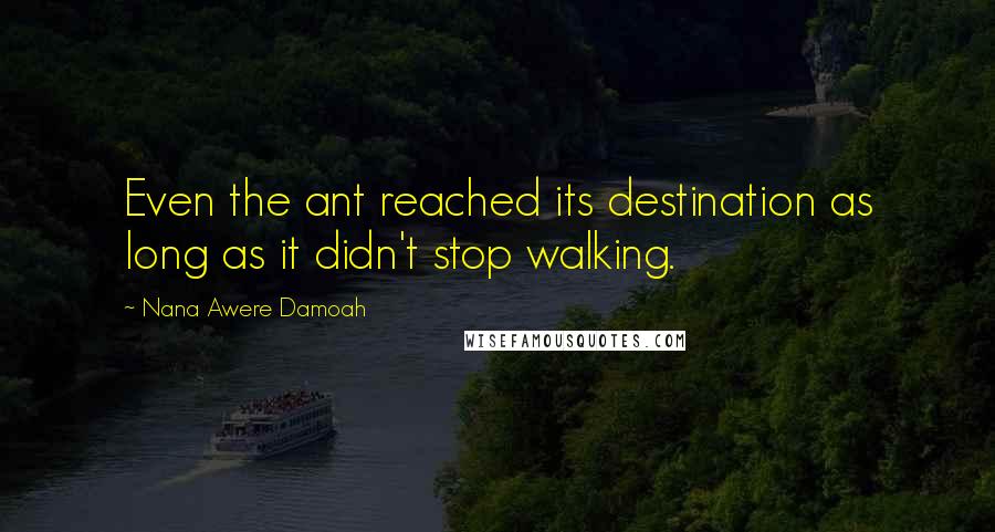 Nana Awere Damoah quotes: Even the ant reached its destination as long as it didn't stop walking.