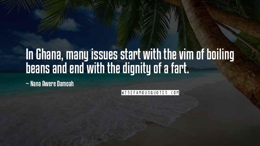 Nana Awere Damoah quotes: In Ghana, many issues start with the vim of boiling beans and end with the dignity of a fart.