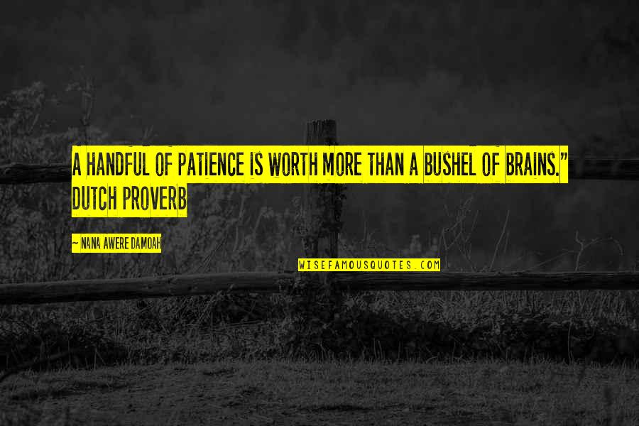 Nana Nana Quotes By Nana Awere Damoah: A handful of patience is worth more than Nana Nana Quotes By Nana Awere Damoah: A handful of patience is worth more than
