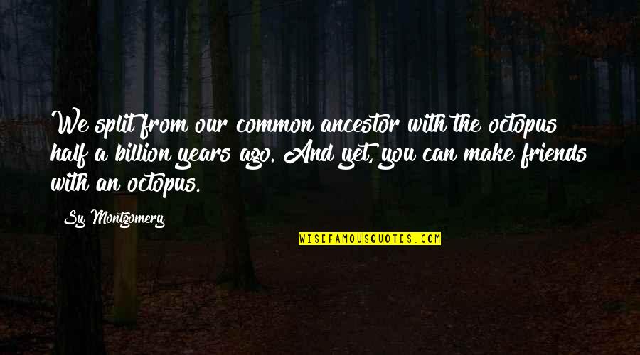 Nanabah Tea Quotes By Sy Montgomery: We split from our common ancestor with the Nanabah Tea Quotes By Sy Montgomery: We split from our common ancestor with the