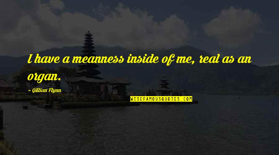 Nanayo Falls Quotes By Gillian Flynn: I have a meanness inside of me, real Nanayo Falls Quotes By Gillian Flynn: I have a meanness inside of me, real
