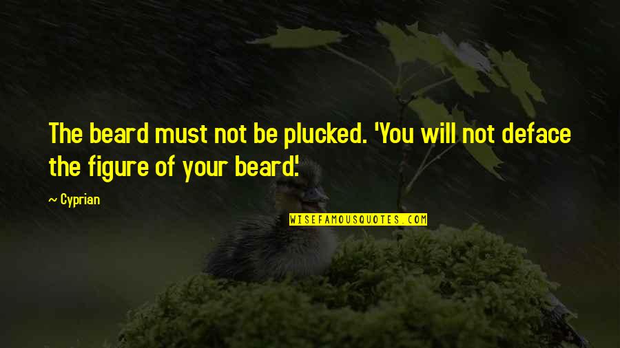 Nancy Ajram Song Quotes By Cyprian: The beard must not be plucked. 'You will