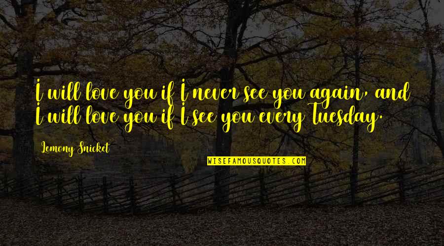 Nancy Ebrahim Quotes By Lemony Snicket: I will love you if I never see Nancy Ebrahim Quotes By Lemony Snicket: I will love you if I never see