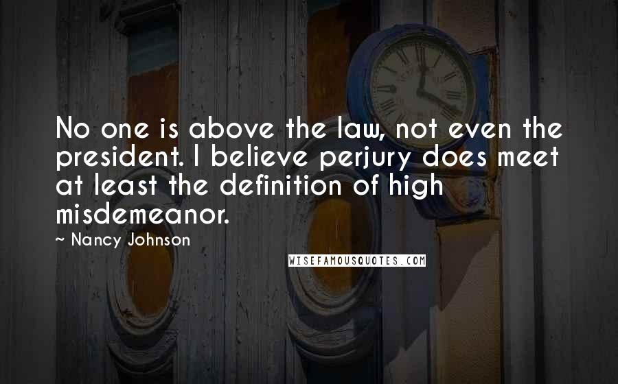 Nancy Johnson quotes: No one is above the law, not even the president. I believe perjury does meet at least the definition of high misdemeanor.