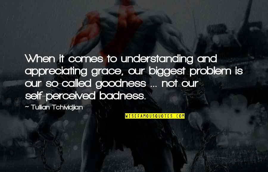 Nane Nane Quotes By Tullian Tchividjian: When it comes to understanding and appreciating grace,