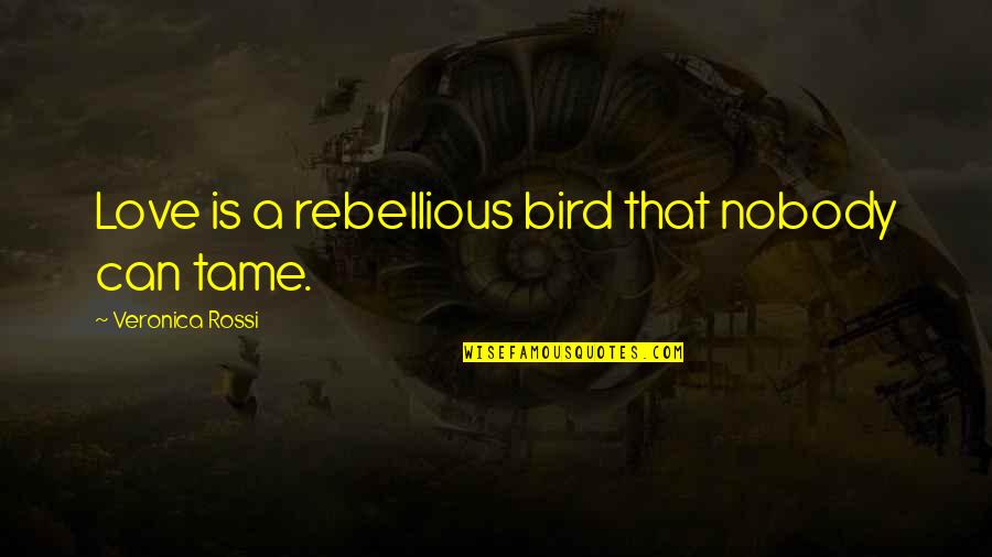 Nanena Movie Quotes By Veronica Rossi: Love is a rebellious bird that nobody can