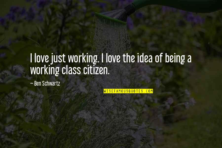 Nanosensors Quotes By Ben Schwartz: I love just working. I love the idea