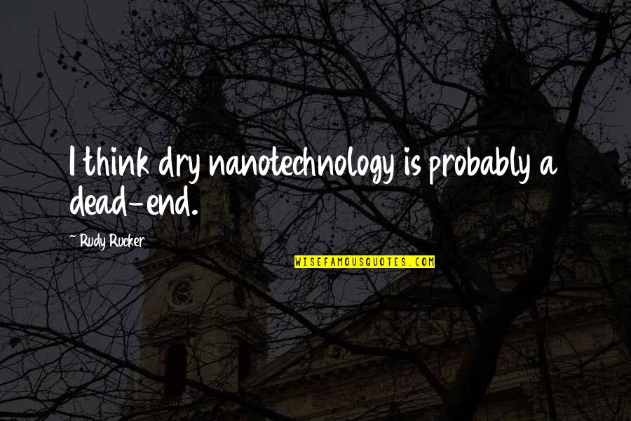 Nanotechnology Quotes By Rudy Rucker: I think dry nanotechnology is probably a dead-end.