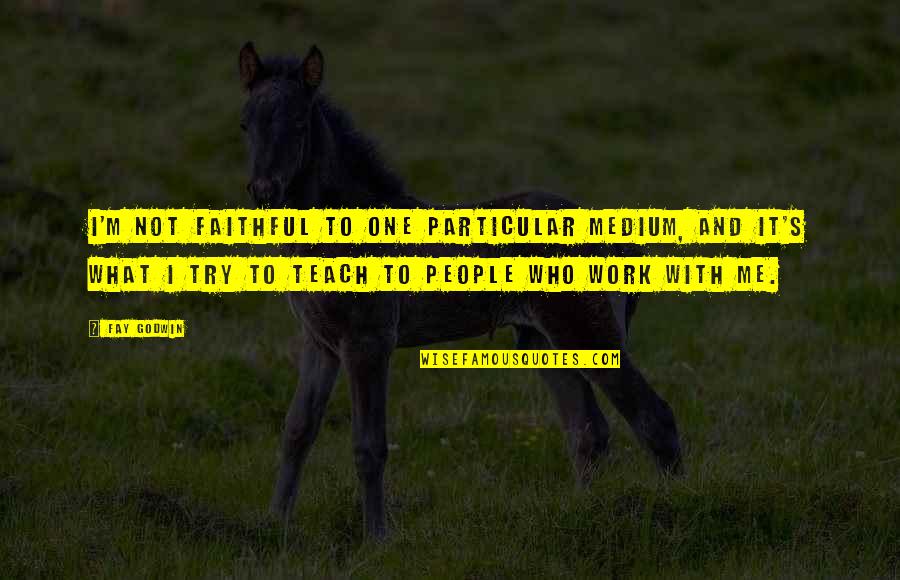 Nanpon Sambo Quotes By Fay Godwin: I'm not faithful to one particular medium, and Nanpon Sambo Quotes By Fay Godwin: I'm not faithful to one particular medium, and