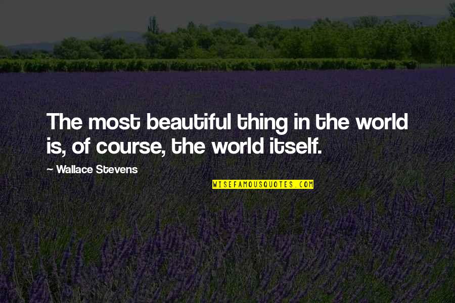 Nantworks Quotes By Wallace Stevens: The most beautiful thing in the world is,