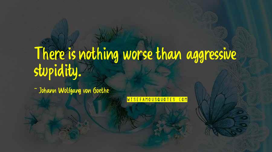 Nanuka Gulua Quotes By Johann Wolfgang Von Goethe: There is nothing worse than aggressive stupidity. Nanuka Gulua Quotes By Johann Wolfgang Von Goethe: There is nothing worse than aggressive stupidity.